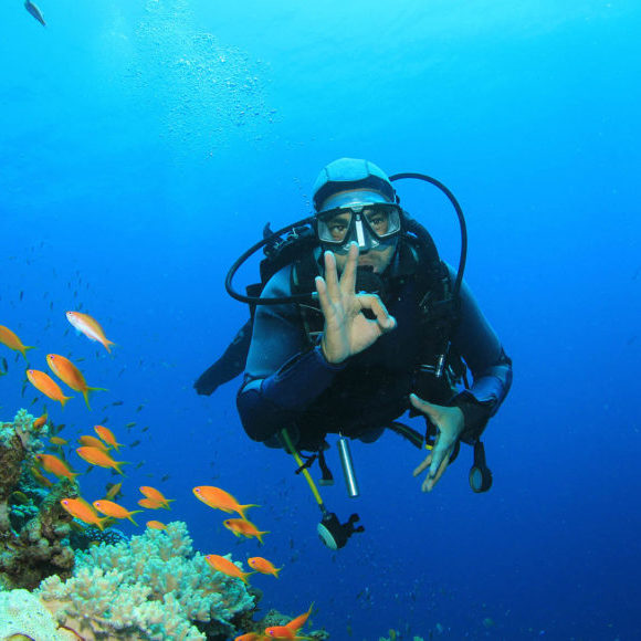 Scuba Diver explores coral reef